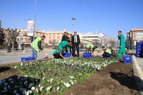 Erzincan Merkez'de Çiçek Dikimi Çalışmaları Hız Kazandı