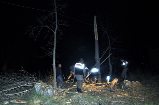 Konya Ereğli'de Kestiği Ağaç Altında Kalan Bir Kişi Hayatını Kaybetti
