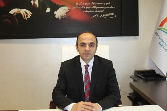 Düzce'de Fındık Üreticilerine 70 Milyon TL Karşılıksız Destek Ödenecek