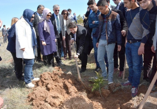 Aksaray Merkez'de 80 Bin Fidan İçin Ağaç Dikme Şenliği Düzenleniyor