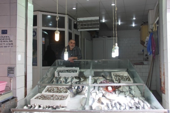 Sinop’ta Balıkçılar Mart Ayında İstediklerini Alamadı