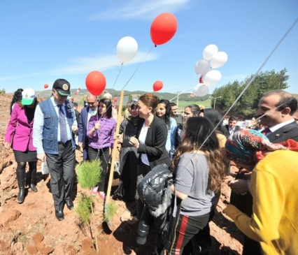 Osmaniye'de Gönül Elçileri Projesi Kapsamında Bereket Ormanı Kuruldu