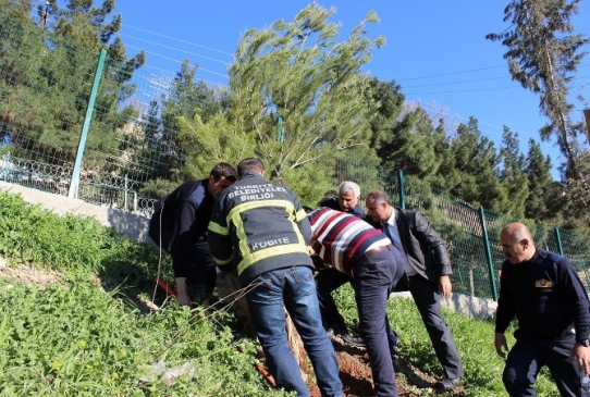 Mardin Artuklu'da İtfaiye Dairesi Tarafından 200 Ağaç Dikildi