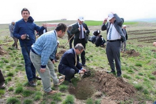 Çorum Sungurlu'da Dünya Ormancılık Haftası Kapsamında 1000 Fidan Dikildi