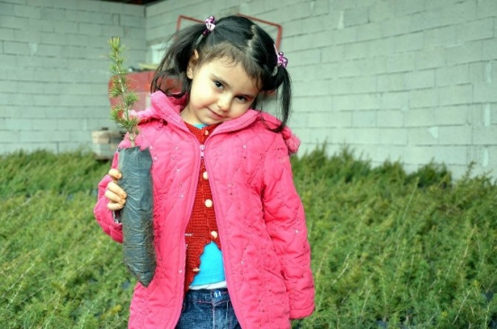 Aksaray Merkez'de Ücretsiz Olarak 100 Bin Fidan Dağıtımı Başladı