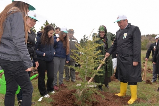 Kütahya'da "Gönül Elçileri" Projesi Kapsamında Fidan Dikimi Gerçekleştirildi