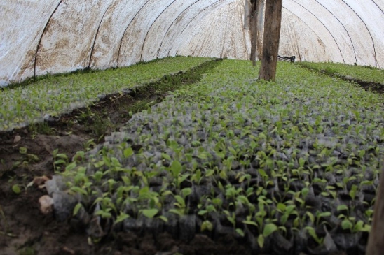 Batman Sason'da Terör Olaylarının Dinmesiyle Köylüler Geri Dönmeye Başladı