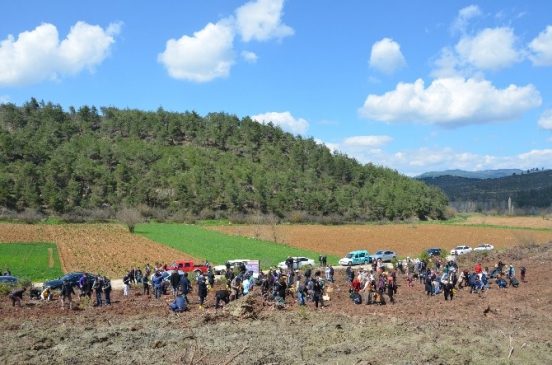 Bilecik Osmaneli'de 301 Fidan Toprakla Buluşturuldu