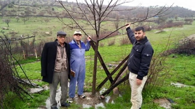 Diyarbakır Lice'de Çiftçilere Organik Tarım Eğitimi Verildi