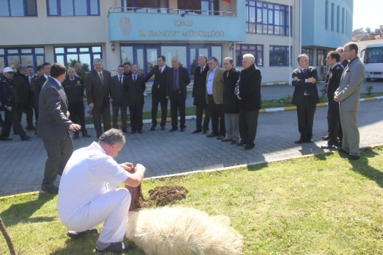 Sinop'ta Emniyet Müdürlüğü'nde Kurban Kesimiyle Polis Haftası Başladı