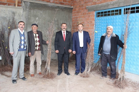 Yıldızeli'nde 3 Bin Bodur Elma Fidanı Çiftçilere Dağıtıldı