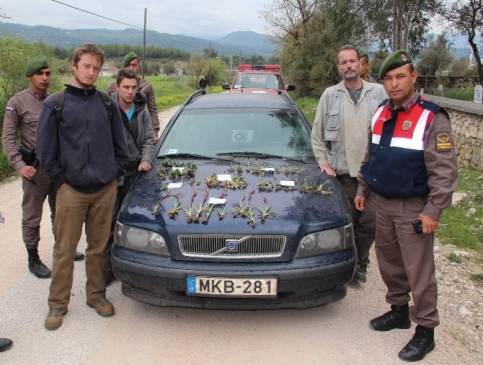 Antalya Kaş'ta Macar Uzmanlar Bitki Kaçakçılığı Nedeniyle Gözaltına Alındı