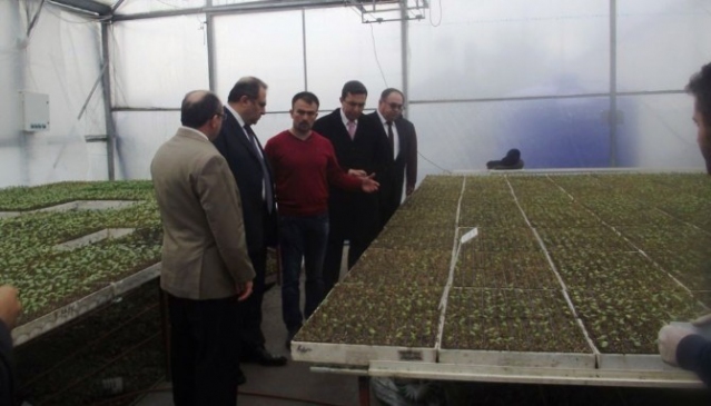 Zonguldak Çaycuma'da Vali Kaban Tarımsal İşletmeleri Ziyaret Etti