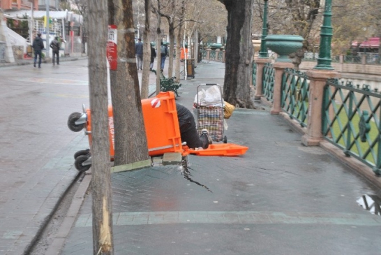 Eskişehir Odunpazarı'nda Çöp Kutularını Deviren Bir Vatandaş İlginç Görüntüler Oluşturdu