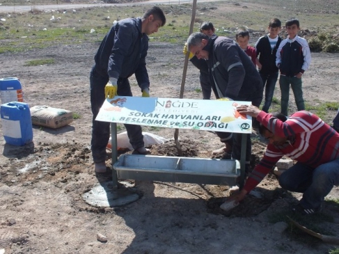Niğde Belediyesi, Sokak Hayvanları İçin Beslenme Odağı Projesini Hızla Yaygınlaştırıyor