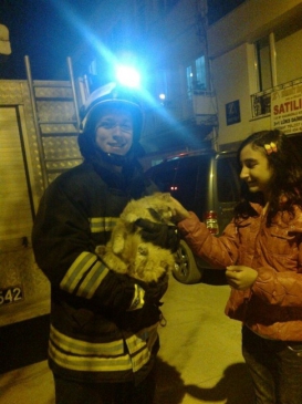 Eskişehir Kırmızıtoprak Mahallesi'nde Ağaçta Mahsur Kalan Kedi Kurtarıldı