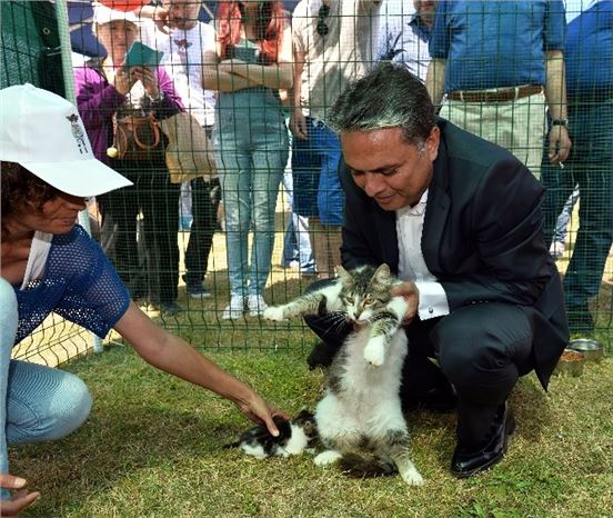 Muratpaşa'da Düzenlenen Sokak Hayvanları Festivali İlk Günüyle Başladı