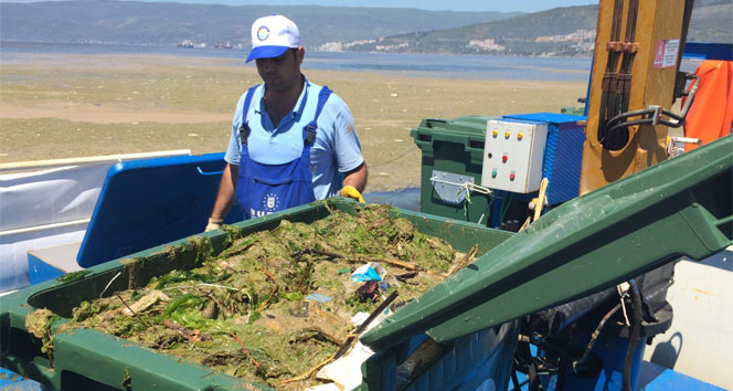 Bursa Gemlik Körfezi'nde Renk Değişikliği Alg Patlamasından Kaynaklanıyor