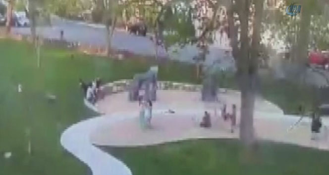 Chelsea Massachusetts'te Parkta Oynayan İki Çocuğun Üzerine Ağaç Düştü