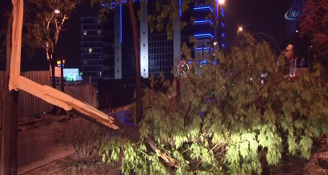İstanbul Bahçelievler'de Akşam Saatlerinde Fırtına Nedeniyle Ağaçlar Devrildi