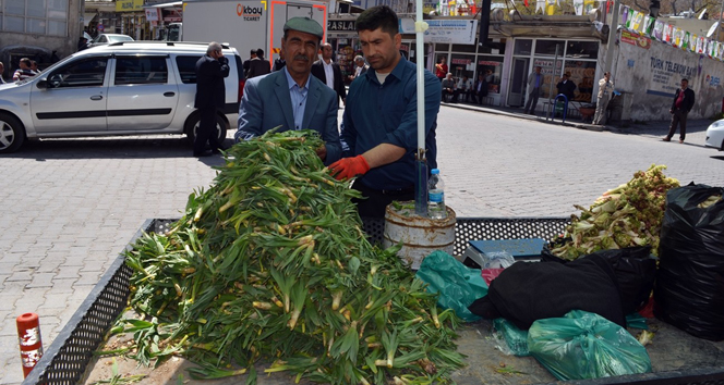 Bitlis Adilcevaz'da Şifalı Ot Toplayarak Geçim Sağlayan Vatandaşlar