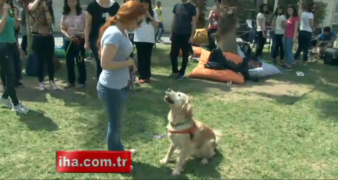 İstanbul Kültür Üniversitesi'nde Öğrenciler Sınav Stresi İçin Terapi Köpekleriyle Bir Araya Geldi