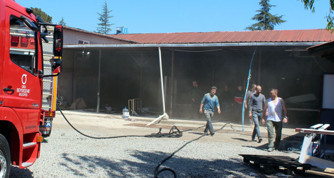 Ordu Perşembe'de Mobilya Atölyesinde Çıkan Yangında 3 İşçi Hastaneye Kaldırıldı