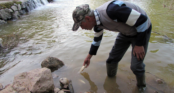 Çanakkale Çan'da Kocabaş Çayı'nın Rengi Kızıl Oldu, Balıklar Ölüyor