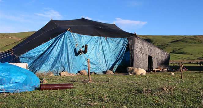 Bingöl Karlıova'da Çözüm Süreciyle Göçerlerin Hayatı Kolaylaştı