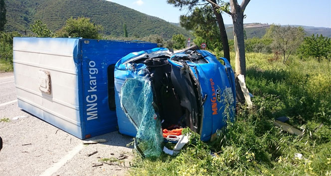 Bursa İznik'te Kargo Aracının Ağaçla Çarpması Sonucu 2 Kişi Yaralandı