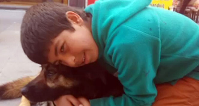 Bahçelievler Şirinevler'de Suriyeli Küçük Çocuğun Hayvan Sevgisi Kameralara Yansıdı