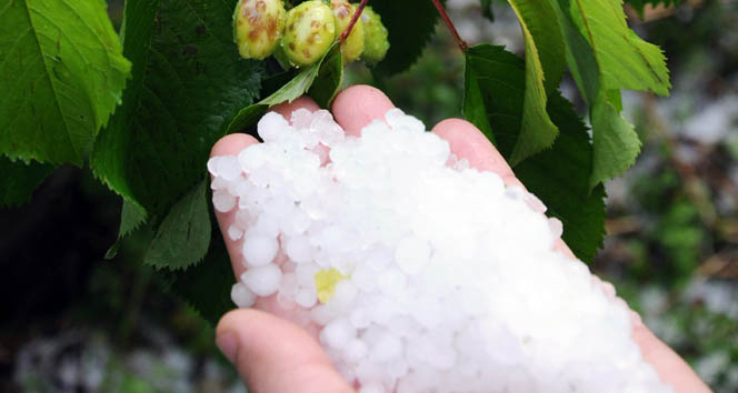 Mersin Erdemli İlçesi'nde Şiddetli Dolu Yağışı Tarım Arazilerinde Zarar Oluşturdu