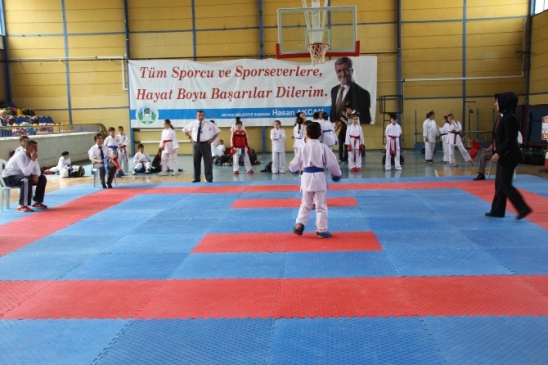 Akyazı'da 6 Mayıs'ta Karate Turnuvası Düzenleniyor