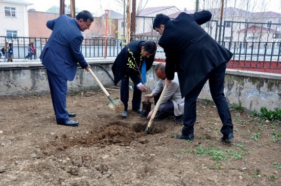 Van Çaldıran’da Kaymakamlık Bahçesine 200 Fidan Dikildi