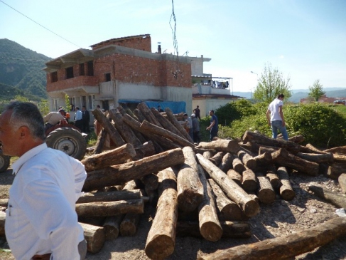 Osmaneli'de İş Yerinde Tomruk İndiren İşçiden Biri Yaralandı