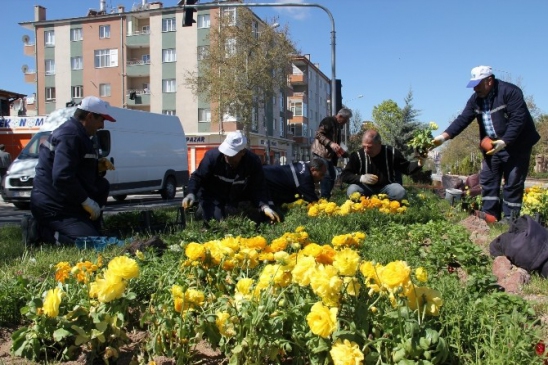 Nevşehir'de Yeşil Alanlar İçin Düzenleme Çalışmaları Devam Ediyor