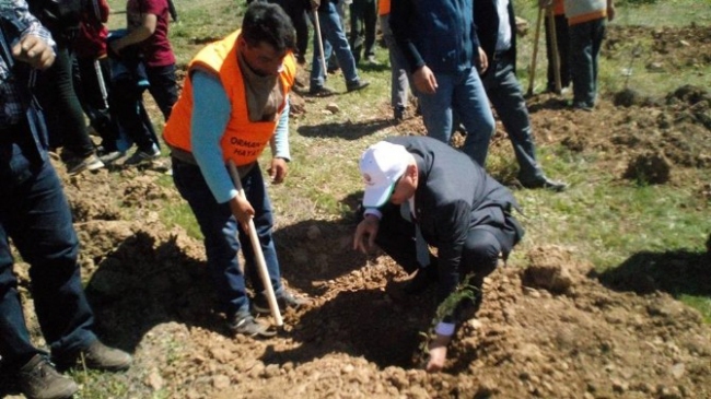 Karaman Sarıveliler'de Fidan Dikimi ve Uçurtma Şenliği Düzenlendi