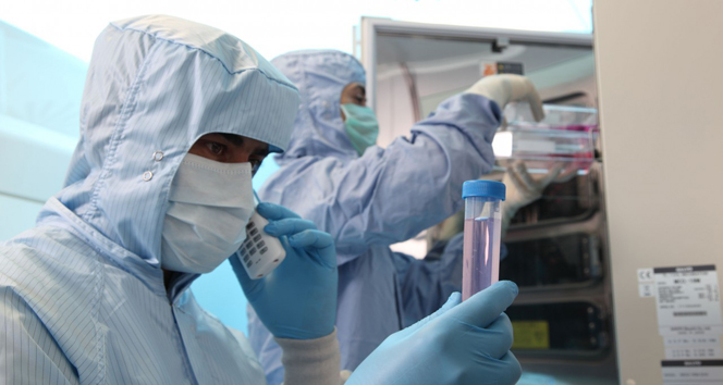 Erciyes Üniversitesi'nde Kök Hücre Tedavisi Çalıştayı Düzenlendi