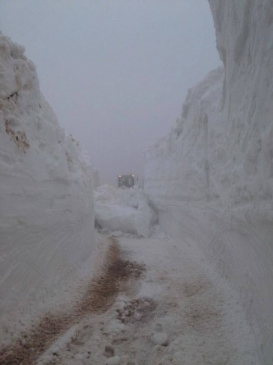 Ordu Kabadüz'de Çambaşı Yaylası Yolları İçin Karla Mücadele Yapılıyor
