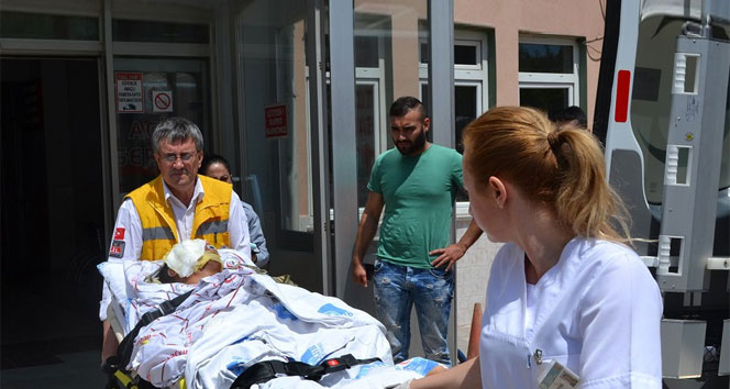 Edirne İpsala'da Asker Yılanı Yakarken Yaralandı