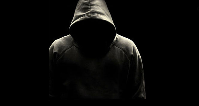 Türk Hack Team, Almanya'nın Gizli Servisi ve Merkez Bankası dahil 300 Devlet Sitesini Erişime Kapatmıştır