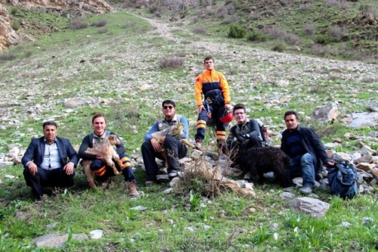 Van Çatak'ta Mahsur Kalan 3 Yavru Keçi AFAD Ekipleri Tarafından Kurtarıldı