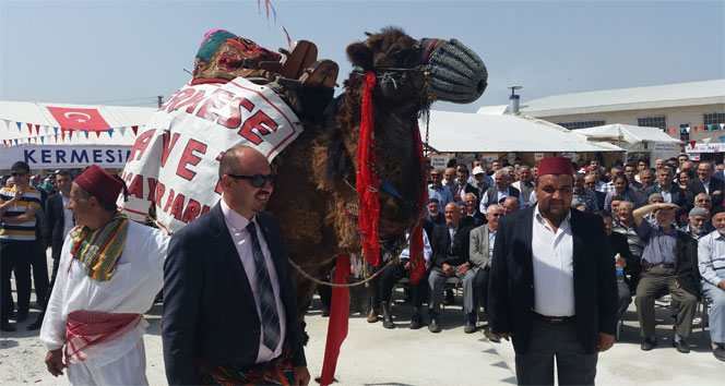 Bolu'da Düzenlenen Kermeste Açık Artırmaya Çıkan Deve 57 Bin Liraya Satıldı