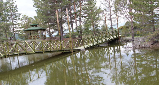 Oltu Obayayla'da Kütüklü Göl Mesire Alanında Piknik Sezonu Açıldı
