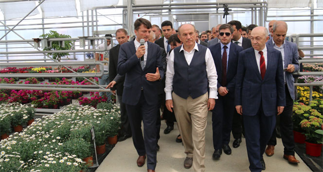 İstanbul'da Çöpten Enerjiyle Çiçek Üretimi Başladı