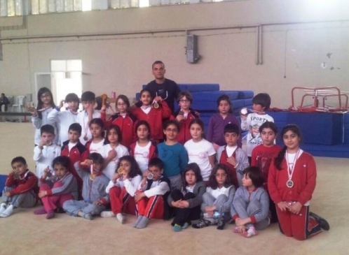 Diyarbakır Bahçeşehir'de Düzenlenen Jimnastik Müsabakalarında 14 Madalya Kazanıldı