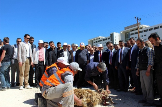 Kilis Merkez'de Barış Mahallesi'nde Başlatılan Temizlik Çalışmaları Sürüyor