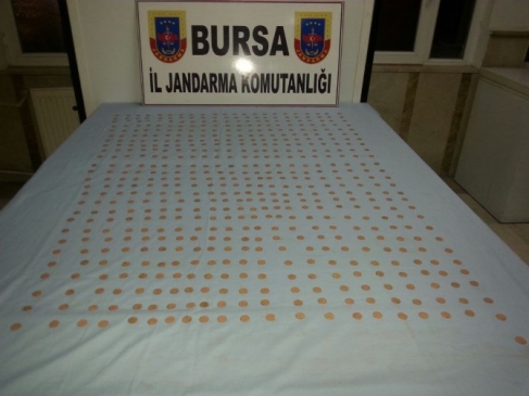 Bursa Mustafakemalpaşa'da Jandarma Operasyonu ile Venedik Dukası Ele Geçirildi