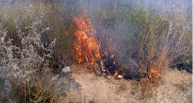 Şanlıurfa Haliliye'de Çıkan Anız Yangını Korkuya Neden Oldu