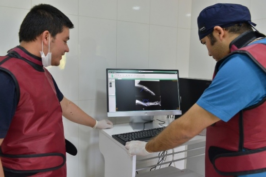 Konyaaltı'nda Sokak Hayvanları İçin Yeni Laboratuvar Hizmete Girdi